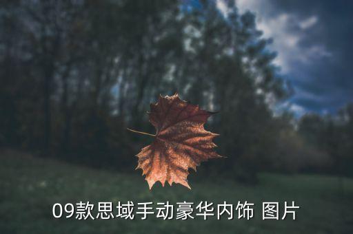 車內裝飾圖片大全集，汽車室內裝飾...